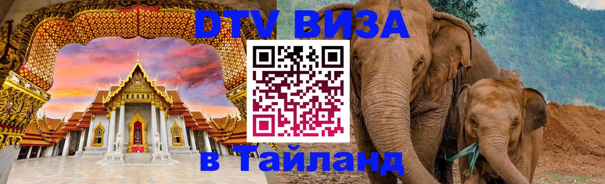 DTV Visa Тайланд купить 